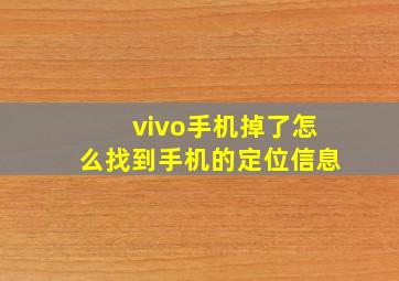 vivo手机掉了怎么找到手机的定位信息