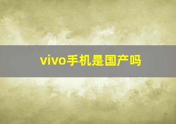 vivo手机是国产吗