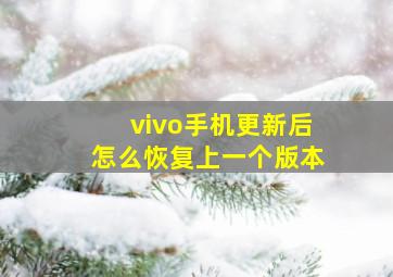 vivo手机更新后怎么恢复上一个版本