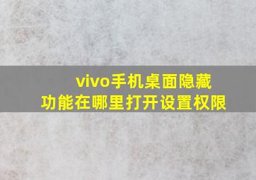 vivo手机桌面隐藏功能在哪里打开设置权限