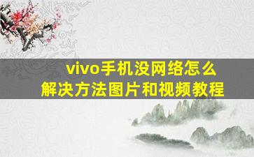 vivo手机没网络怎么解决方法图片和视频教程