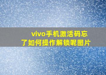 vivo手机激活码忘了如何操作解锁呢图片