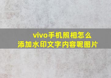 vivo手机照相怎么添加水印文字内容呢图片