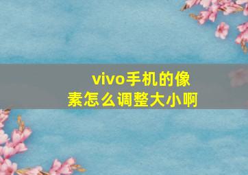 vivo手机的像素怎么调整大小啊