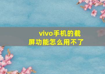 vivo手机的截屏功能怎么用不了