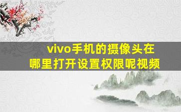 vivo手机的摄像头在哪里打开设置权限呢视频