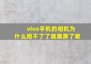 vivo手机的相机为什么用不了了就黑屏了呢