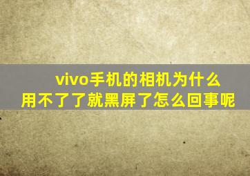 vivo手机的相机为什么用不了了就黑屏了怎么回事呢