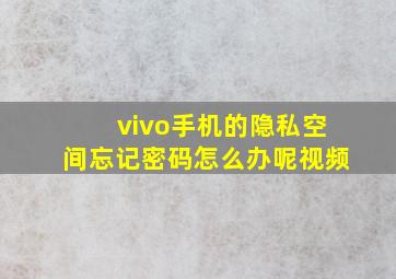 vivo手机的隐私空间忘记密码怎么办呢视频