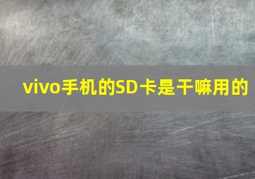 vivo手机的SD卡是干嘛用的