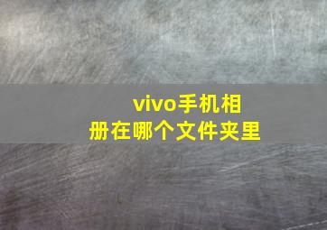 vivo手机相册在哪个文件夹里