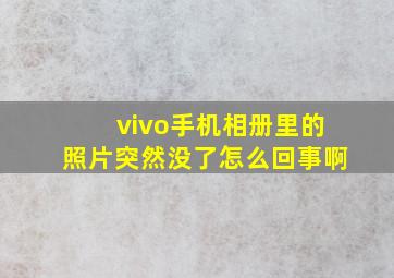 vivo手机相册里的照片突然没了怎么回事啊