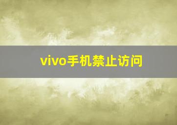 vivo手机禁止访问