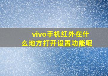 vivo手机红外在什么地方打开设置功能呢