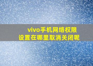 vivo手机网络权限设置在哪里取消关闭呢