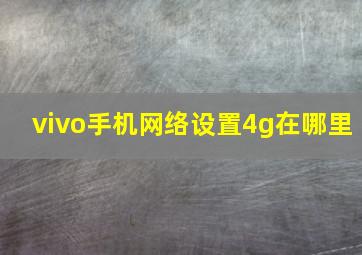 vivo手机网络设置4g在哪里