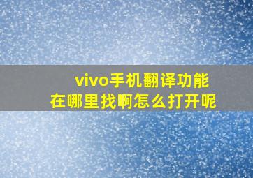 vivo手机翻译功能在哪里找啊怎么打开呢