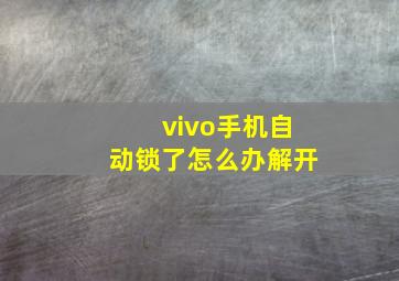 vivo手机自动锁了怎么办解开