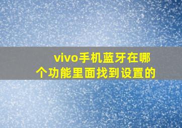 vivo手机蓝牙在哪个功能里面找到设置的