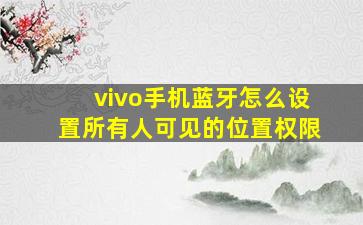 vivo手机蓝牙怎么设置所有人可见的位置权限