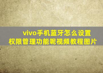 vivo手机蓝牙怎么设置权限管理功能呢视频教程图片