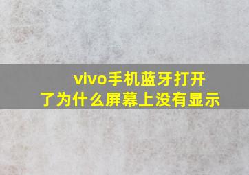 vivo手机蓝牙打开了为什么屏幕上没有显示