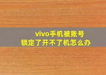 vivo手机被账号锁定了开不了机怎么办