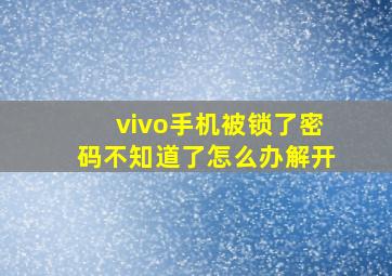 vivo手机被锁了密码不知道了怎么办解开