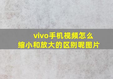 vivo手机视频怎么缩小和放大的区别呢图片