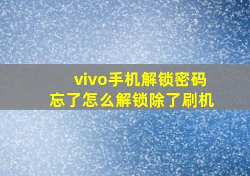 vivo手机解锁密码忘了怎么解锁除了刷机