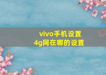 vivo手机设置4g网在哪的设置