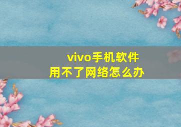 vivo手机软件用不了网络怎么办