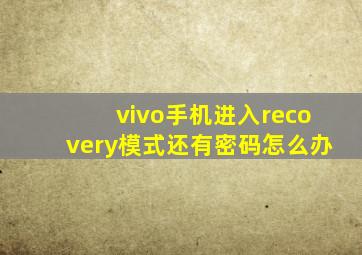 vivo手机进入recovery模式还有密码怎么办