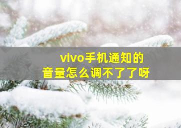 vivo手机通知的音量怎么调不了了呀