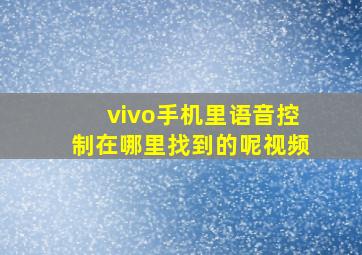 vivo手机里语音控制在哪里找到的呢视频