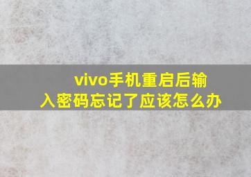 vivo手机重启后输入密码忘记了应该怎么办