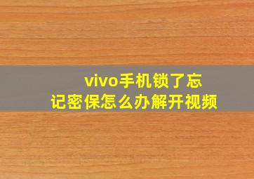 vivo手机锁了忘记密保怎么办解开视频