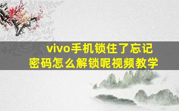 vivo手机锁住了忘记密码怎么解锁呢视频教学