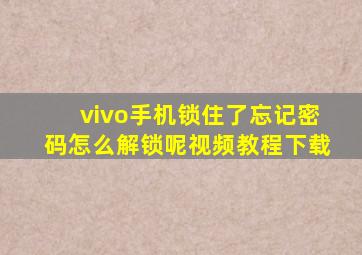 vivo手机锁住了忘记密码怎么解锁呢视频教程下载