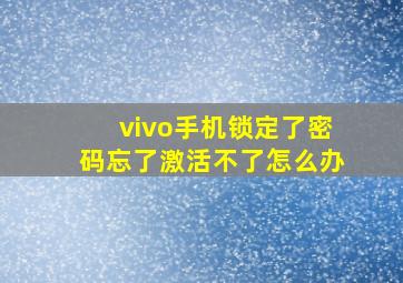 vivo手机锁定了密码忘了激活不了怎么办