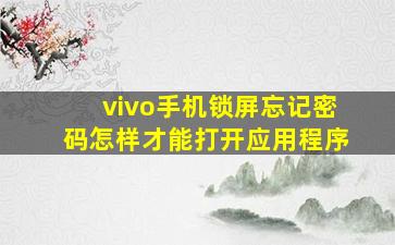 vivo手机锁屏忘记密码怎样才能打开应用程序