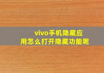 vivo手机隐藏应用怎么打开隐藏功能呢