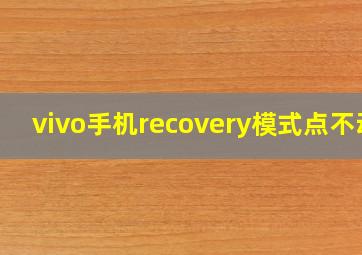 vivo手机recovery模式点不动