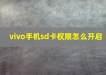 vivo手机sd卡权限怎么开启