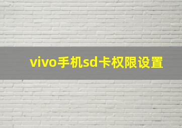 vivo手机sd卡权限设置