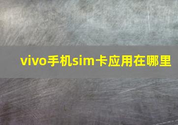 vivo手机sim卡应用在哪里