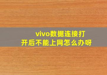 vivo数据连接打开后不能上网怎么办呀