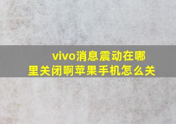 vivo消息震动在哪里关闭啊苹果手机怎么关