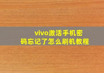 vivo激活手机密码忘记了怎么刷机教程