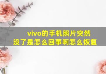 vivo的手机照片突然没了是怎么回事啊怎么恢复